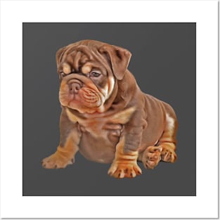 Bulldog Puppy Cute and Chubby Posters and Art